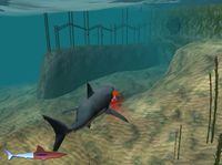 Jaws Unleashed screenshot, image №408223 - RAWG