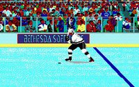 Wayne Gretzky Hockey screenshot, image №738610 - RAWG