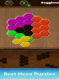 Amazing Hexa Classic: Puzzle G screenshot, image №1611734 - RAWG