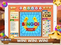 Bingo Country Ways: Free Bingo Game – Live Bingo screenshot, image №1478844 - RAWG