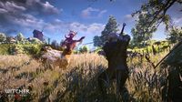 The Witcher 3: Wild Hunt screenshot, image №652299 - RAWG
