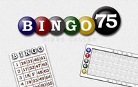 Bingo 75 screenshot, image №2086516 - RAWG