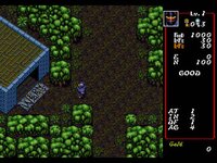 Dungeon Explorer (1994) screenshot, image №248550 - RAWG