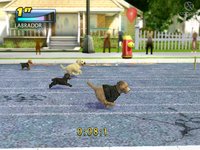 Petz Sports screenshot, image №510098 - RAWG