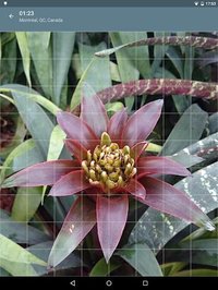 Jigsaw Puzzle: Flowers screenshot, image №1497476 - RAWG