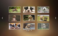 Puppies Jigsaw Puzzles Free Pet Games for Kids screenshot, image №1492935 - RAWG