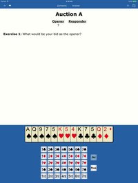 Whirlwind Bridge Workbooks screenshot, image №954588 - RAWG