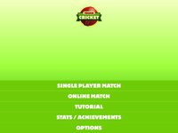 Touch Cricket screenshot, image №1634248 - RAWG