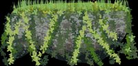 FloatingJungleDemo screenshot, image №1873958 - RAWG