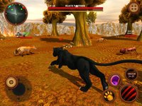 Black Panther Simulator - Wild Animals Survival 3D screenshot, image №979345 - RAWG
