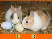 friendly rabbits for kids free screenshot, image №1866789 - RAWG