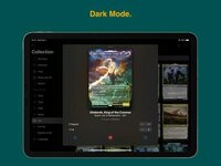 Lion’s Eye - MTG Card Manager screenshot, image №2741184 - RAWG