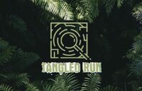 Tangled Run screenshot, image №3165089 - RAWG