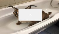 kill floppa 18+ screenshot, image №3176621 - RAWG