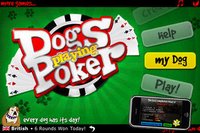 Dogs Playing Poker ~ free Texas hold'em game for all skill levels & dog lovers! screenshot, image №47621 - RAWG