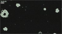 Starseeker screenshot, image №1224710 - RAWG