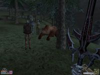 The Elder Scrolls 3: Bloodmoon screenshot, image №362006 - RAWG
