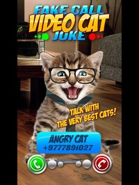 Fake Call Video Cat Joke screenshot, image №2035740 - RAWG