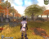 Fable: The Lost Chapters screenshot, image №649255 - RAWG