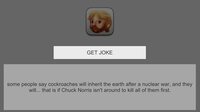 ChuckNorrisJokes screenshot, image №3507444 - RAWG