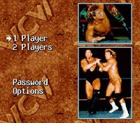 WCW SuperBrawl Wrestling screenshot, image №763239 - RAWG