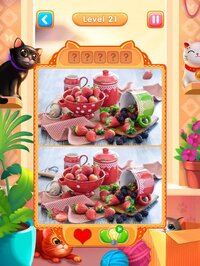 Meow - Find 5 Differences Game screenshot, image №3739675 - RAWG