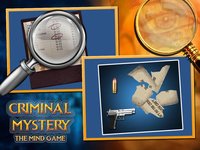 Criminal Mystery - The Mind Game screenshot, image №875221 - RAWG