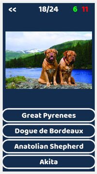 Dogs Quiz screenshot, image №3536838 - RAWG