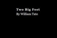 Two Big Feet screenshot, image №3235697 - RAWG