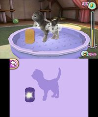 PET INN 3D screenshot, image №265432 - RAWG