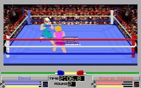 4D Sports Boxing screenshot, image №743515 - RAWG