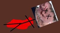 A Moderator Murder screenshot, image №2656997 - RAWG