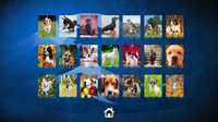 Puppy Dog: Jigsaw Puzzles screenshot, image №146159 - RAWG