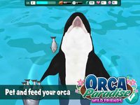 Orca Paradise: Wild Friends screenshot, image №1932575 - RAWG