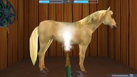 My Riding Stables: Life with Horses 2 screenshot, image №1609169 - RAWG