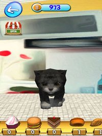 KittyZ, my virtual pet cat screenshot, image №1743132 - RAWG