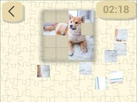 Ultimate Puzzles Collection screenshot, image №2951515 - RAWG