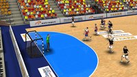 Handball Simulator: European Tournament 2010 screenshot, image №556332 - RAWG