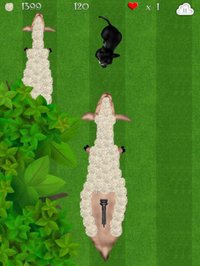 Wooly Sheep Shave: The Shepherd Shaving Lamb Day for Wool Harvest - Free screenshot, image №1796174 - RAWG