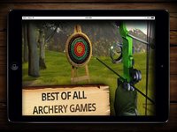 Archery Champion PRO (ADS FREE) 3D Bow Tournament Master, Sport Shooting Game screenshot, image №2067420 - RAWG