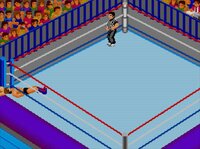 Fire Pro Wrestling Combination Tag screenshot, image №3943747 - RAWG