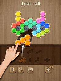 Block Hexa Puzzle: Wooden Game screenshot, image №901079 - RAWG