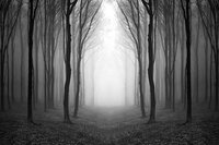 Very Spooky Horse screenshot, image №2587049 - RAWG