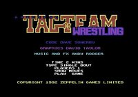 American Tag-Team Wrestling screenshot, image №747327 - RAWG