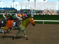 Photo Finish Horse Racing screenshot, image №917621 - RAWG