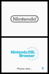 Nintendo DSi Browser screenshot, image №788596 - RAWG