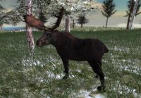 North American Hunting Extravaganza screenshot, image №250165 - RAWG