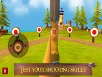 Hit Bow Cup:Archery Master 3D screenshot, image №1854191 - RAWG