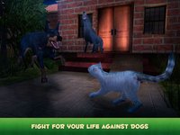 Hunting Cat Survival Simulator 3D screenshot, image №910001 - RAWG