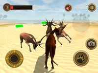 Bird Dog Chase Simulator screenshot, image №1835861 - RAWG